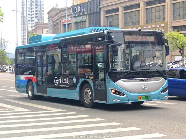 渝A 60536D