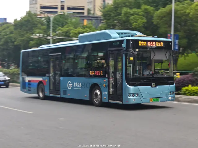 800BUS