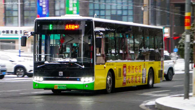 800BUS