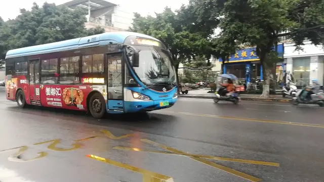 800BUS