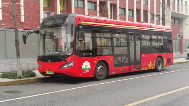 800BUS