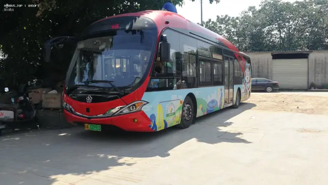 800BUS