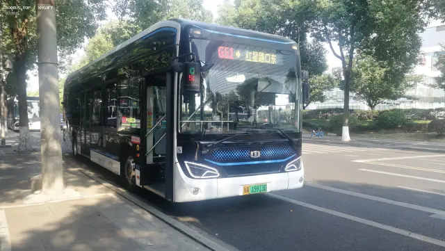 800BUS