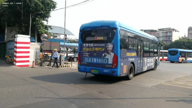 800BUS