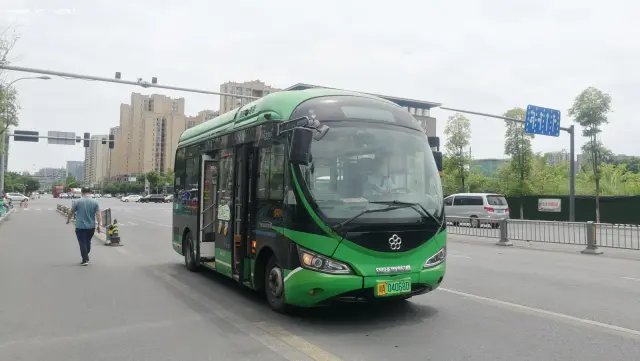 800BUS