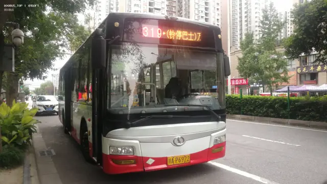 800BUS