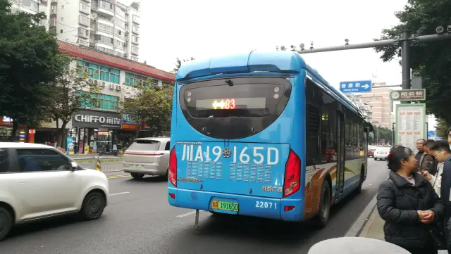 800BUS