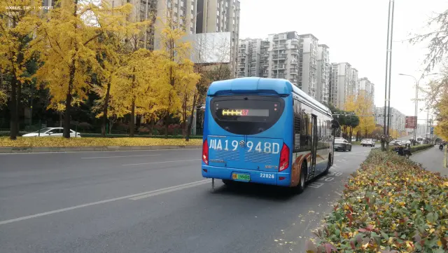 800BUS