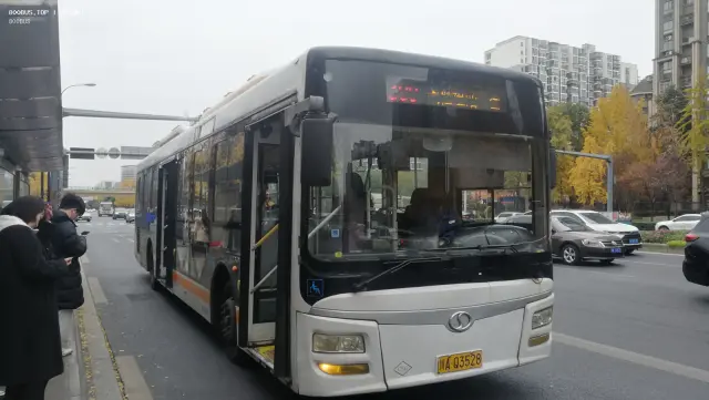 800BUS