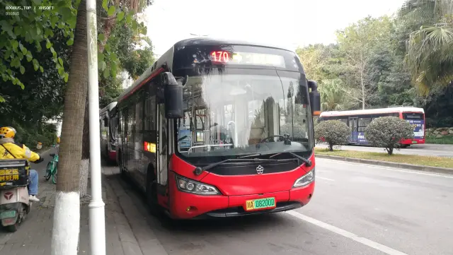 800BUS