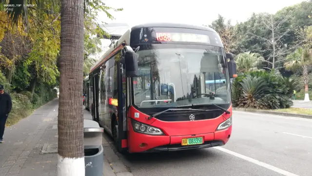800BUS