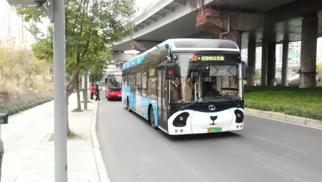 800BUS