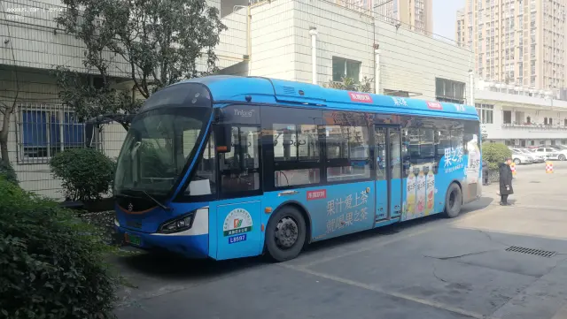 800BUS