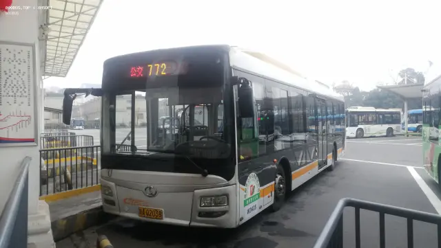 800BUS