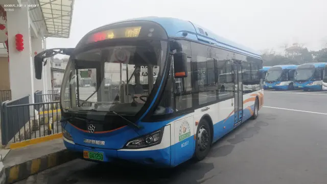 800BUS
