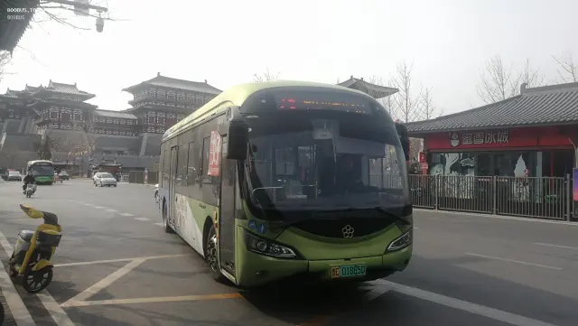 800BUS