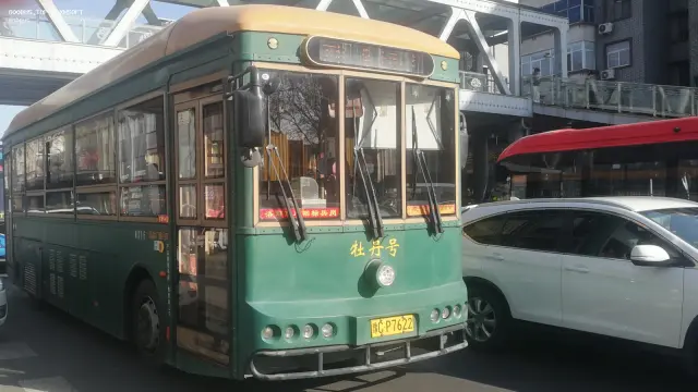 800BUS