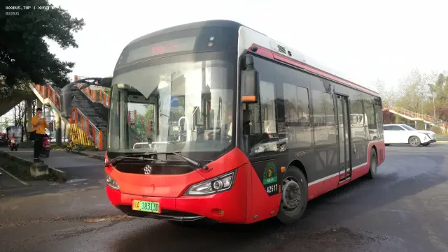 800BUS