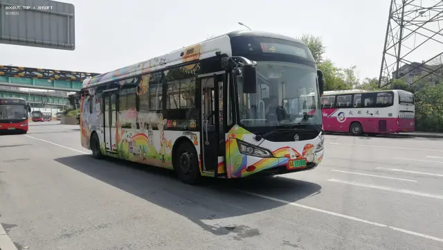 800BUS