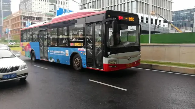 800BUS