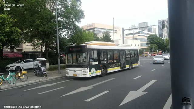 川A P3165