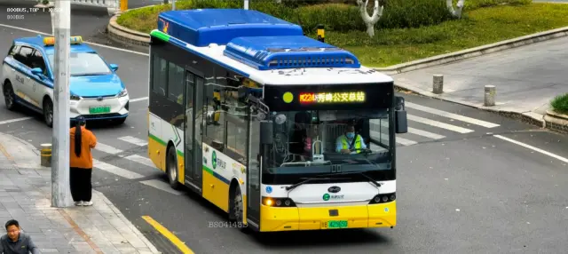 800BUS