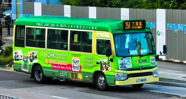 800BUS