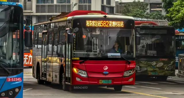 800BUS