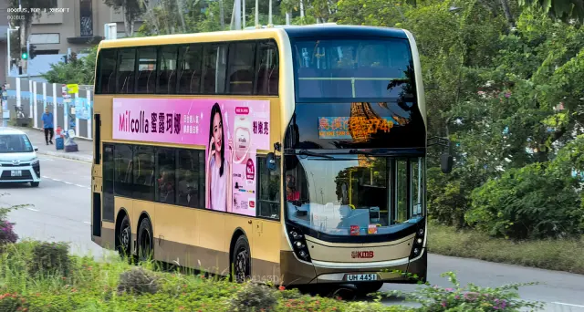 800BUS