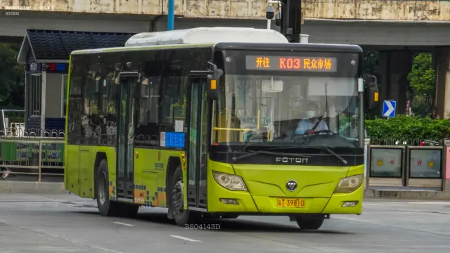 800BUS