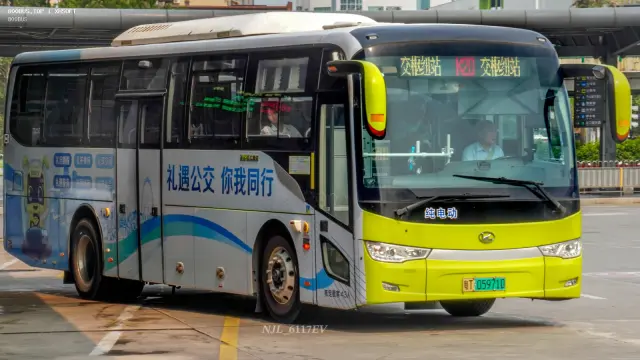 800BUS