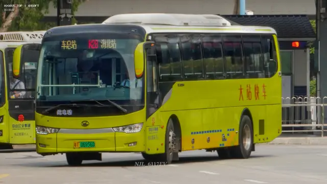 800BUS