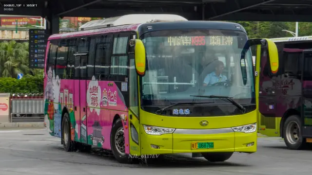 800BUS