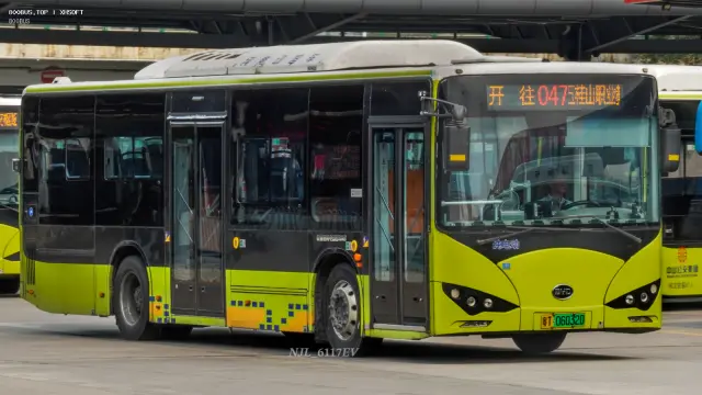 800BUS