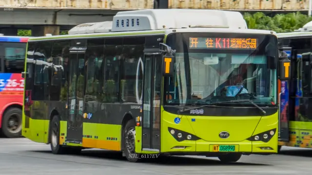 800BUS