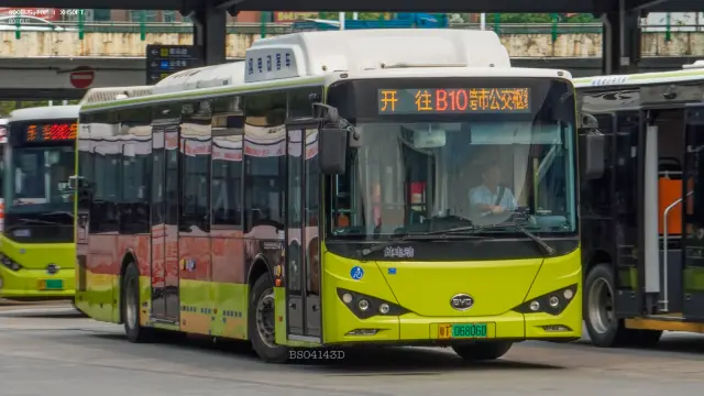 800BUS