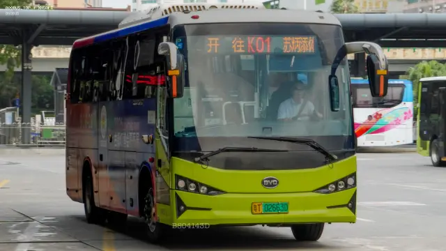 800BUS