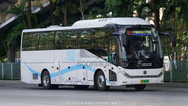 粤B 88073D