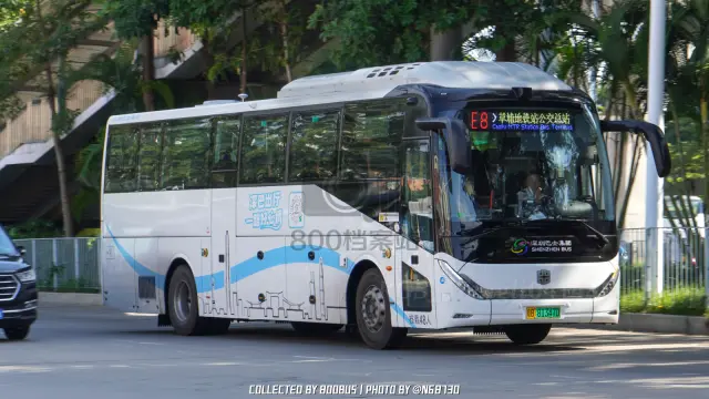 粤B 81347D