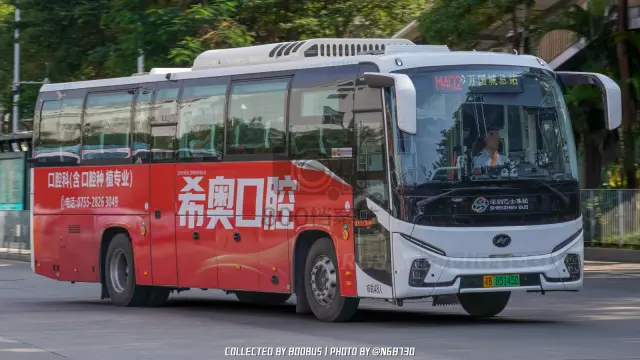 粤B 85145D