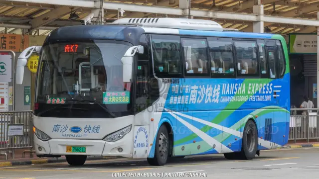 800BUS