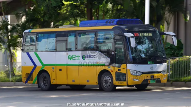 粤B 91529D