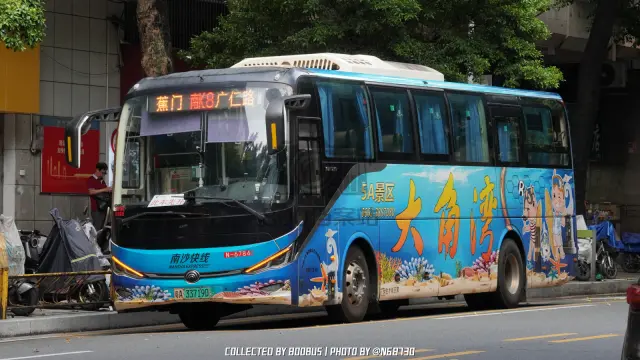 800BUS
