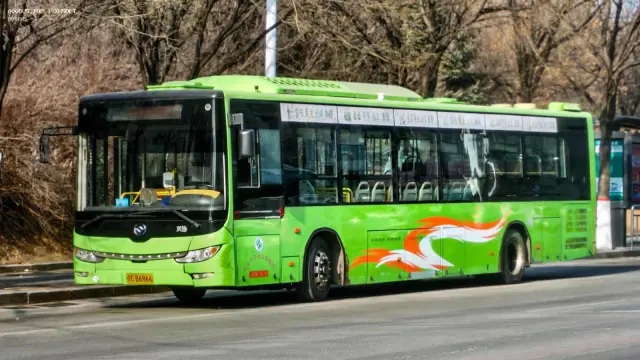 800BUS