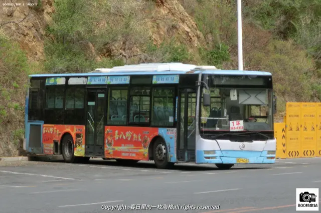 800BUS