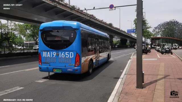 川A 19165D