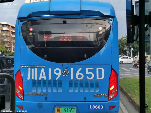 川A 19165D