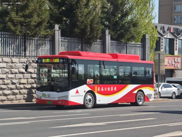 800BUS