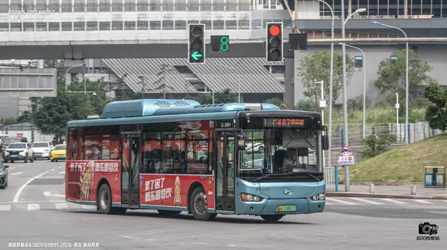 800BUS