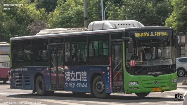 800BUS